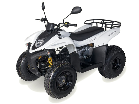 Фото квадроцикла Baltmotors Jam 100